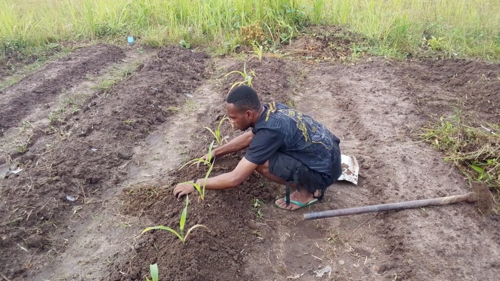 ketahanan pangan satbrimob polda papua